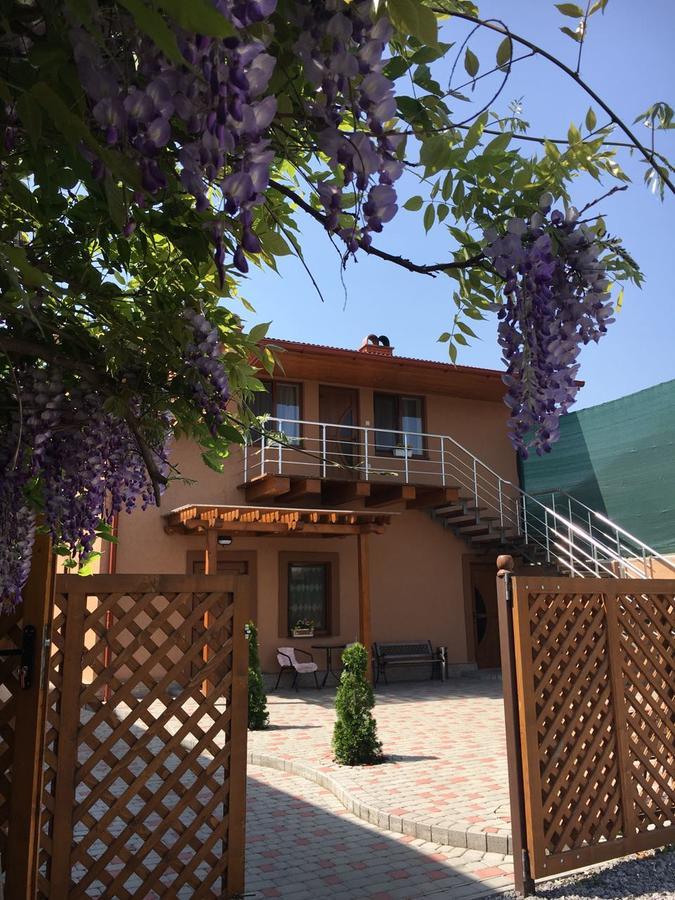 Willa Holiday House Berehowo Zewnętrze zdjęcie